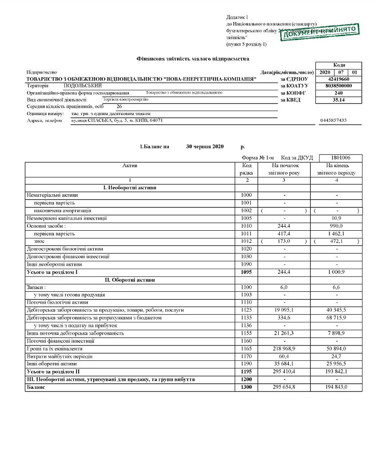 NEC Finance roport 2020