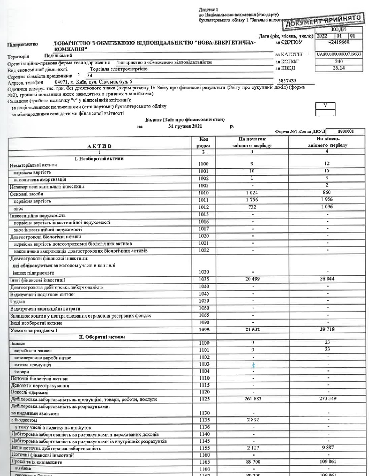 NEC Finance roport 2021