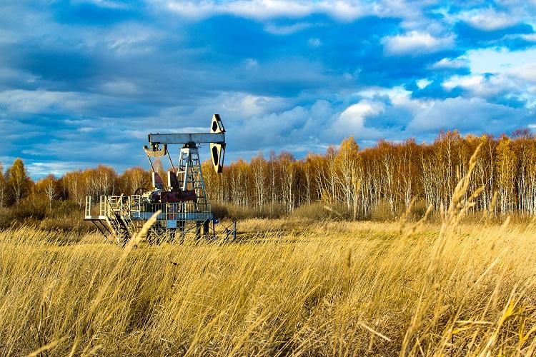 РИНОК ПРИРОДНОГО ГАЗУ УКРАЇНИ